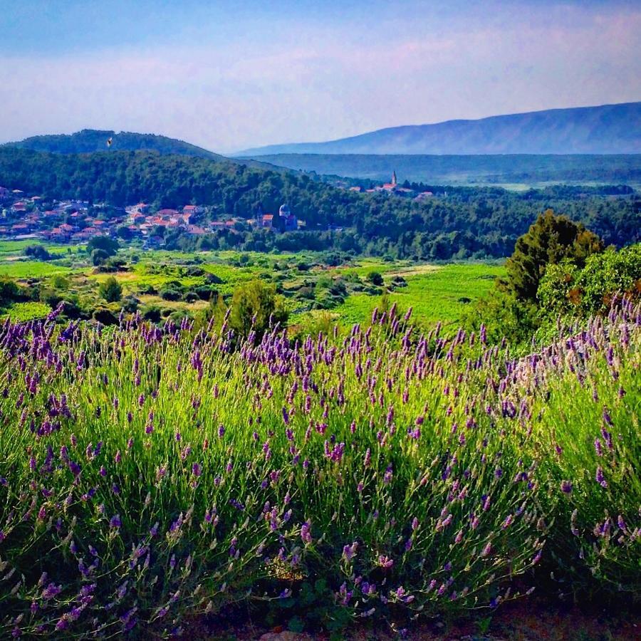 Villa Veli Nova Zavala Bagian luar foto